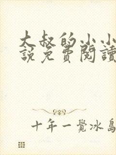 大叔的小小妻小说免费阅读