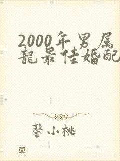 2000年男属龙最佳婚配