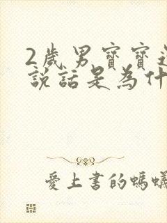 2岁男宝宝还不说话是为什么