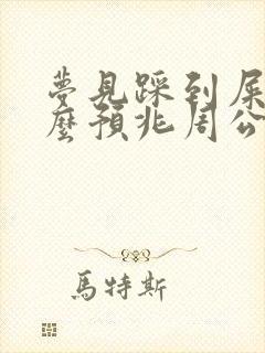 梦见踩到屎是什么预兆周公解梦