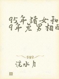 95年猪女和99年兔男相配婚姻如何