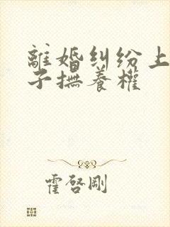 离婚纠纷上诉孩子抚养权