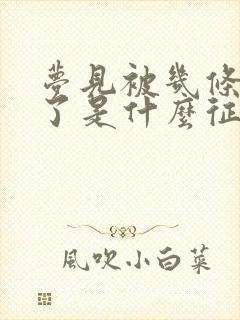 梦见被几条蛇咬了是什么征兆女性