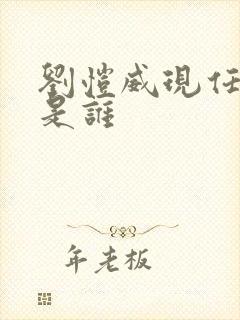 刘恺威现任妻子是谁