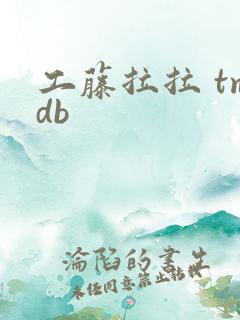 工藤拉拉 tmdb