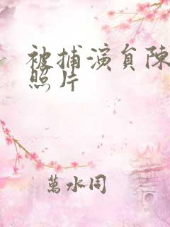 被捕演员陈丽云照片