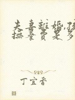 夫妻离婚,孩子抚养费是多少钱