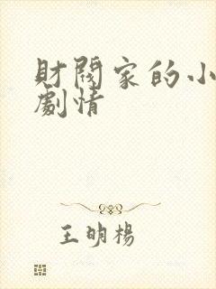 财阀家的小儿子剧情