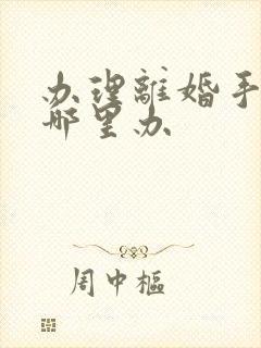 办理离婚手续去哪里办