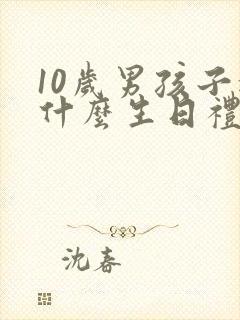 10岁男孩子送什么生日礼物好
