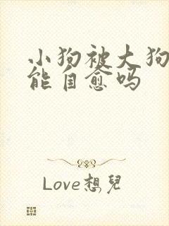 小狗被大狗咬伤能自愈吗