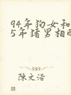 94年狗女和95年猪男相配婚姻如何