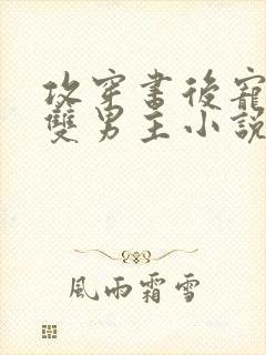 攻穿书后宠受的双男主小说推荐