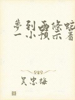 梦到两条蛇一大一小预示着什么