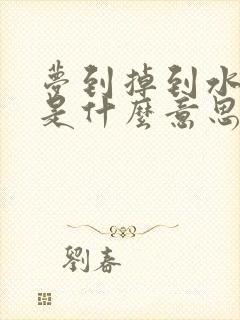 梦到掉到水里了是什么意思