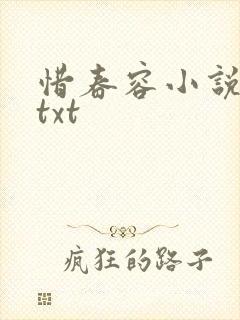 惜春容小说网盘txt