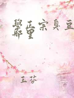 学正宗臭豆腐去哪里