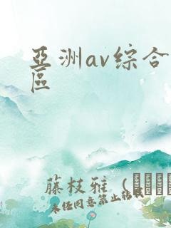 亚洲av综合二区