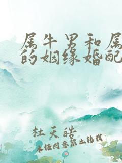 属牛男和属蛇女的姻缘婚配