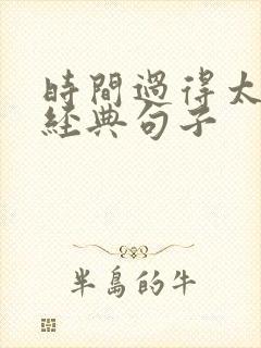 时间过得太快的经典句子