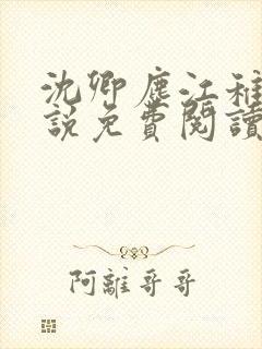 沈卿尘江稚的小说免费阅读全文