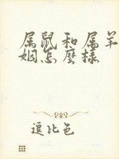 属鼠和属羊的婚姻怎么样