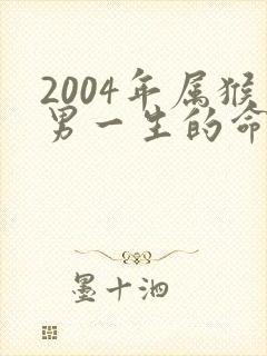 2004年属猴男一生的命运如何