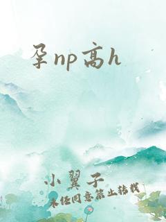 孕np高h