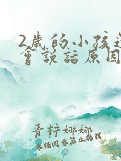 2岁的小孩还不会说话原因