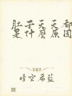 肚子天天都胀气是什么原因