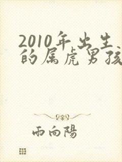 2010年出生的属虎男孩的一生命运