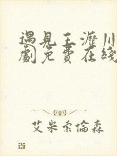 遇见王沥川电视剧免费在线观看