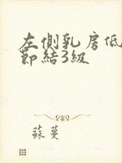 左侧乳房低回声节结3级