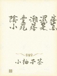 阴囊潮湿瘙痒长小疙瘩是怎么回事