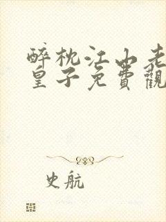 醉枕江山老六成皇子免费观看