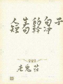 人生的句子唯美短句干净