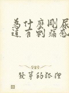 为什么刚尿完尿道有刺痛感