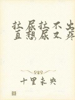 拉尿拉不出来一直想尿又疼怎么办