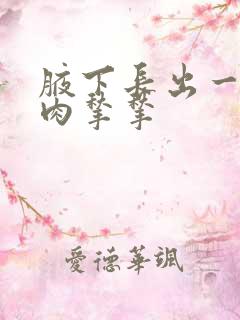 腋下长出一个小肉揪揪