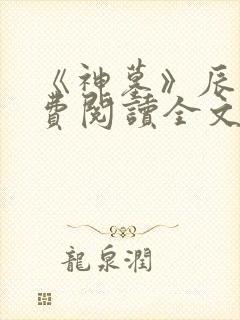 《神墓》辰南免费阅读全文