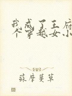 我成了王府第四个穿越女小说免费阅读