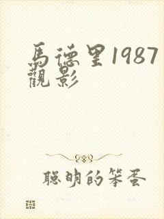马德里1987观影