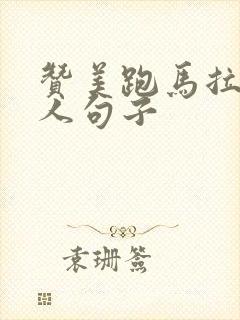 赞美跑马拉松的人句子