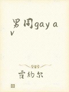 男同gay av