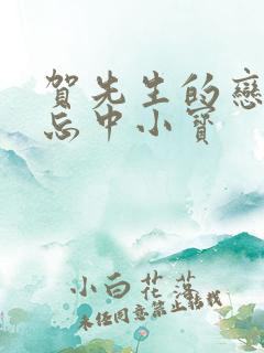 贺先生的恋恋不忘中小宝