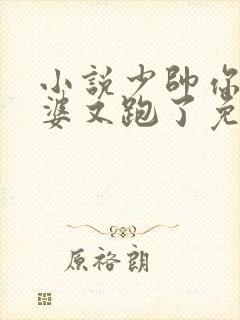 小说少帅你的老婆又跑了免费阅读