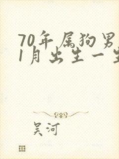 70年属狗男11月出生一生命运