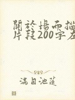关于场面描写的片段200字左右