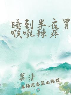 睡到半夜胃反流喉咙辣疼