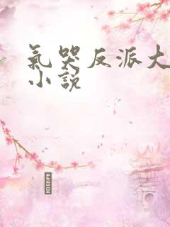 气哭反派大小姐小说